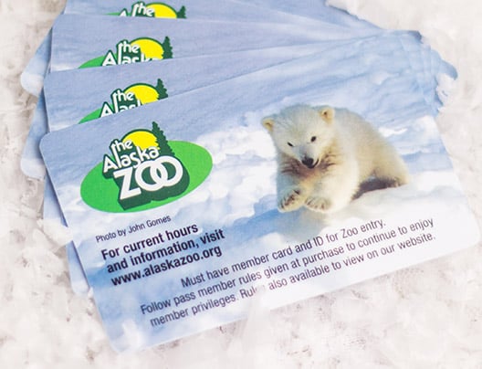 Example of Custom VIP Membership Card for the Alaska Zoo