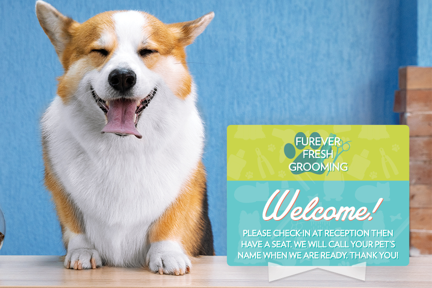 Dog standing next to a dog grooming sign welcoming people in